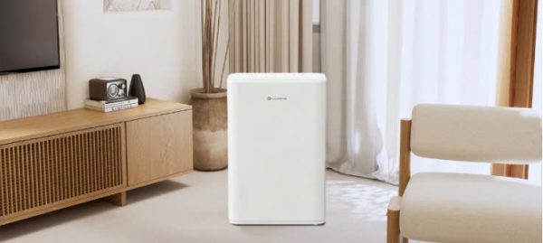 Máy hút ẩm 12L Lumias D6E-12L