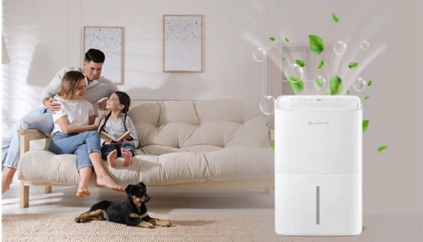 Máy hút ẩm 60L Lumias D6E-60L – 160m